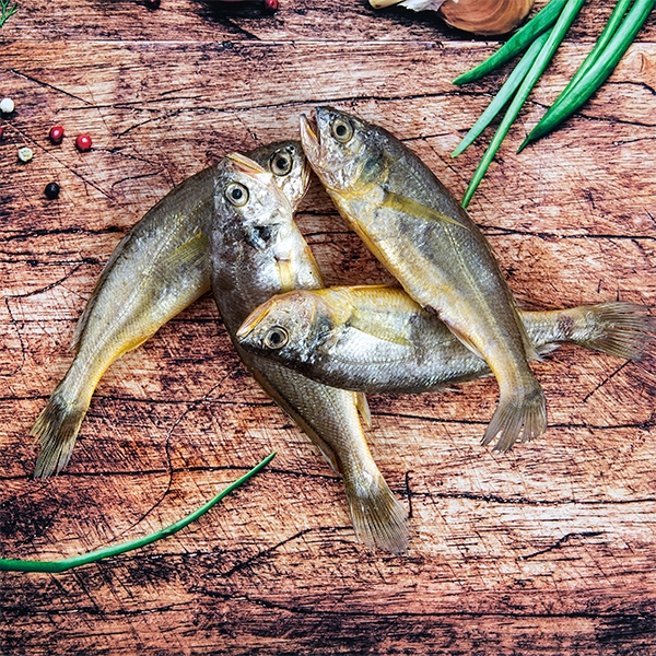 참조기(만족형) 1Kg 10~12마리 대
